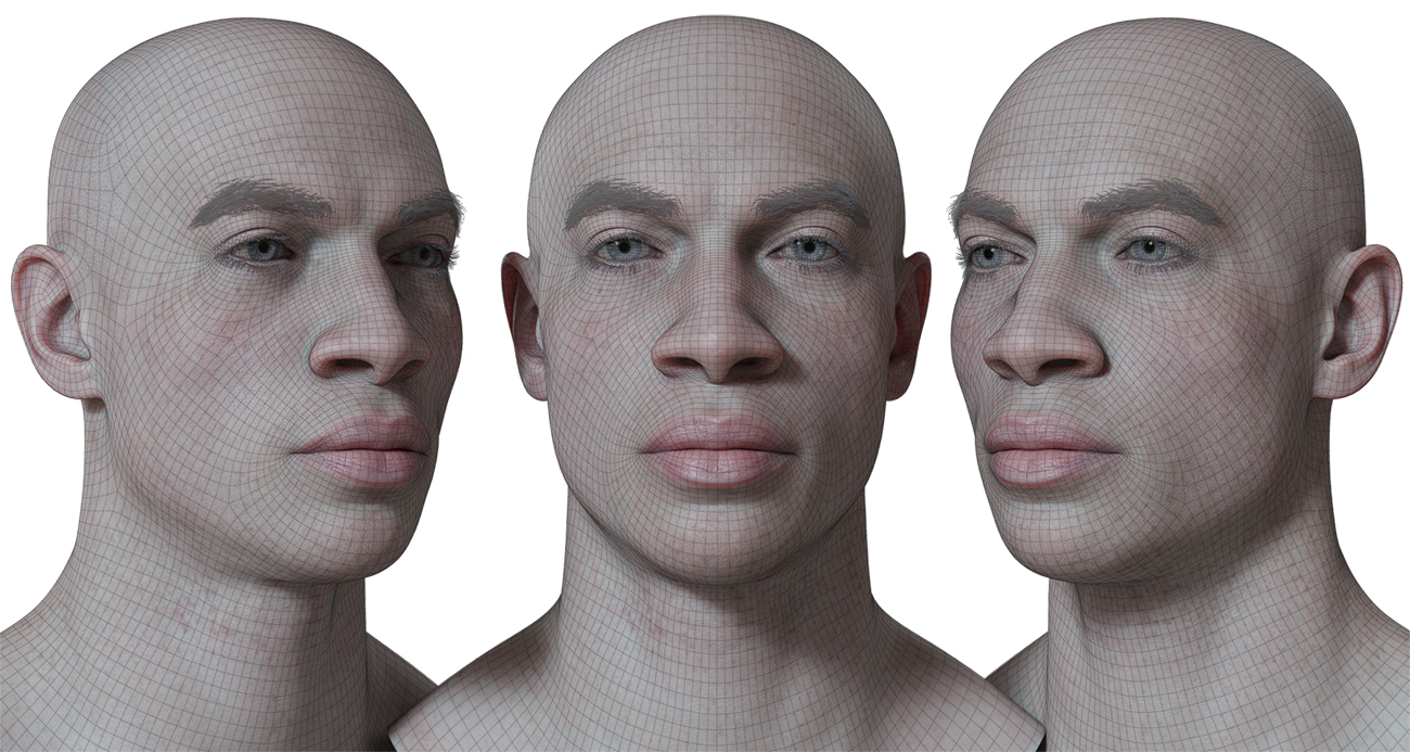 Enhance your digital creations with our male metamorph head scan. Our cutting-edge 3D scanning technology captures every detail of the human head, creating a one-of-a-kind model that is perfect for animation, gaming, and other digital projects. With a ZTL file as the source and FBX meshes included, customization is a breeze. Get the high-resolution details you need to take your projects to the next level.